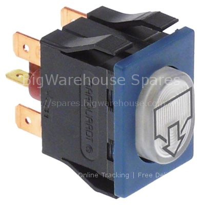 Push switch mounting measurements 30x22mm oval white 2NO 250V 16