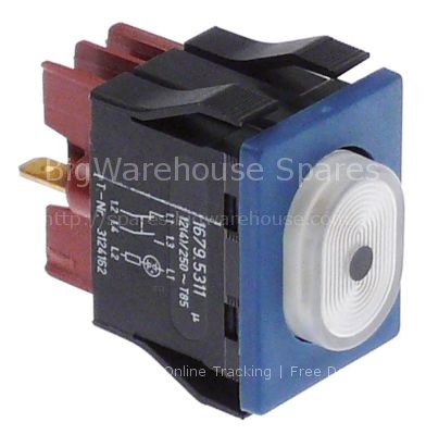 Momentary push switch mounting measurements 30x22mm oval white/b