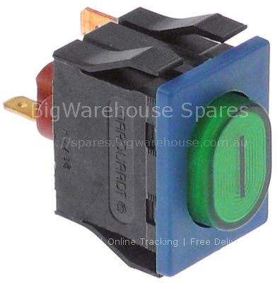 Momentary push switch mounting measurements 30x22mm oval green