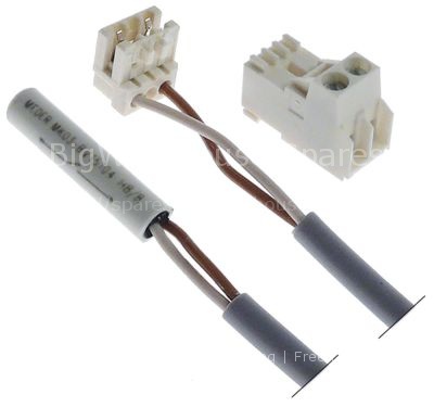 Magnetic switch 200V 0,5A P max. 100W probe L 26mm 1NO connectio