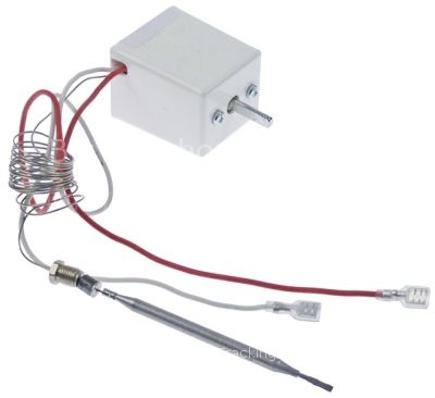 Thermostatcontroler 1-pole 1NO probe ø 6mm probe L 110mm capilla