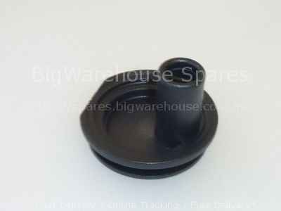 Filter holder spout BECCUCCIO USCITA LATTE CAPPUCCINATORE