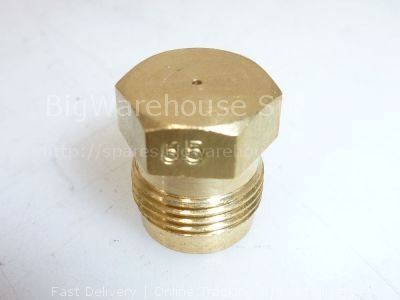 Nozzle UGELLO 2GR EM 0.65N GPL