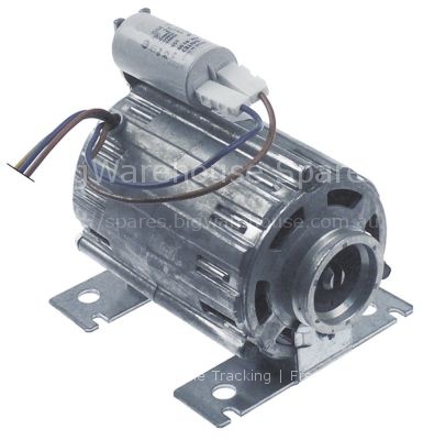 Pump motor RPM type C013726 120W 230V 50/60Hz connection clip L