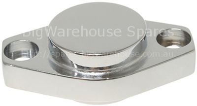 CHROME-PLATED LATERAL CAP