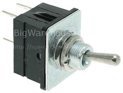 Toggle switch thread M12x0.75 2CO 250V 15A ON-ON