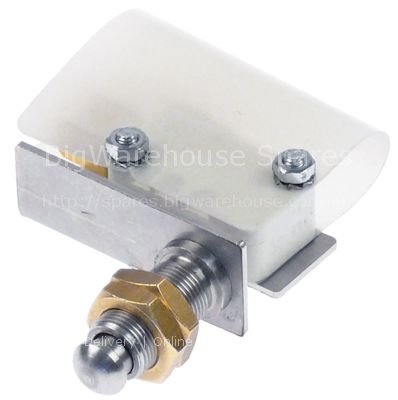 Microswitch with plunger thread M10x0.75 thread L 18mm 230V 10A