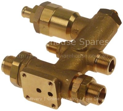 Intake valve for FIAMMA
