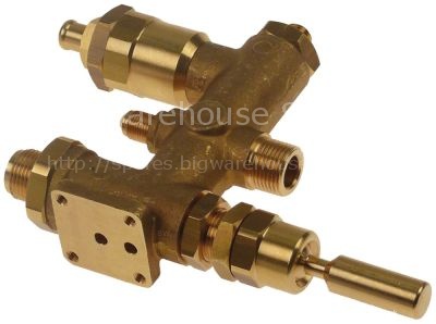 Intake valve for FIAMMA