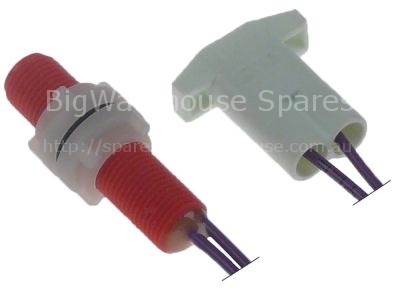 Magnetic switch 165V 0,75A P max. 120W probe L 39mm 1NO connecti