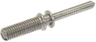 PUNTA M5x38 SCREW AISI 303