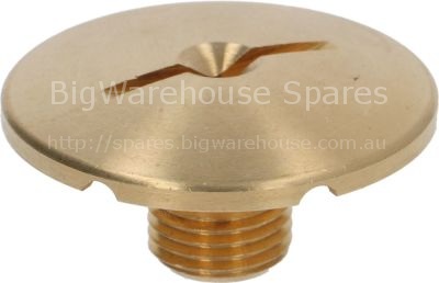 Water distributor BREW GROUP SPRAY NOZZLE ø 30 mm M10x1