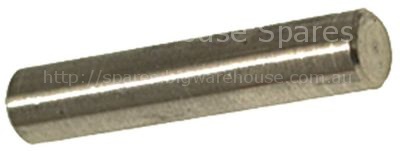 Bolt LEVER PIN ø 6x31 mm