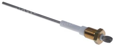 Level electrode 1/8" total length 115mm probe L 100mm insulated