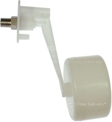 Intake valve with float