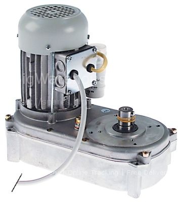 Gear motor 220/240V 50Hz for flake ice maker