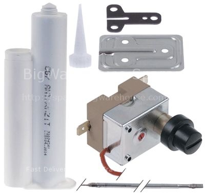 Safety thermostat kit switch-off temp. 318°C 1-pole 16A probe ø