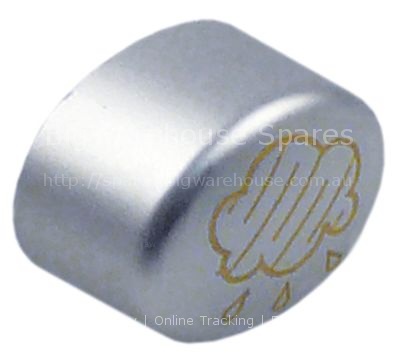 Push button size 17x13mm silver steam gold