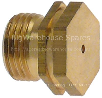Gas injector thread M11x1 WS 13 bore ø 2,65mm