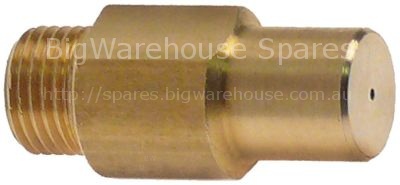 Gas injector thread M10x1 WS 11 bore ø 0,8mm inner peaked