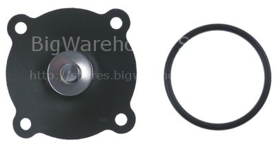 Maintenance set for vacuum valve size 1¼"