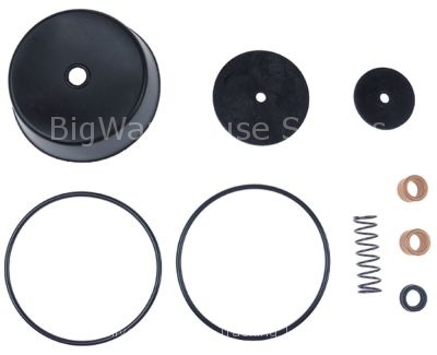 Maintenance set for vacuum valve size 2"