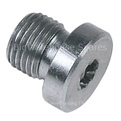 Locking screw thread 1/8" SS