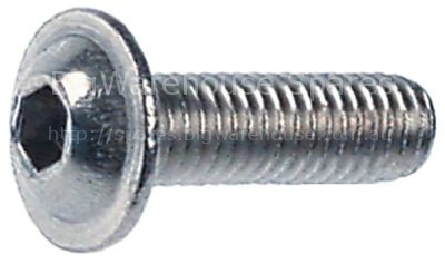 Flat-headed bolt thread M6 L 20mm SS Qty 1 pcs intake hexagonal