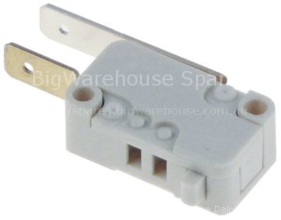 Microswitch with plunger 250V 0,1A 1NO connection male faston 6.