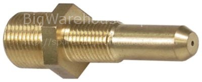 Gas injector T1: 3/8" T2: M12x1.25 WS 19 bore ø 2,6mm natural ga