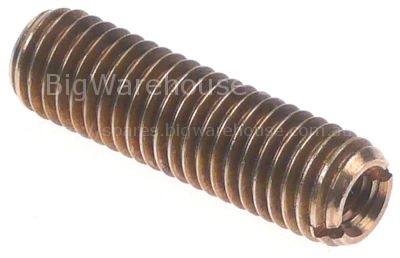 Thread bolt thread M10x1.5 L 35mm IT M6 for motor shaft