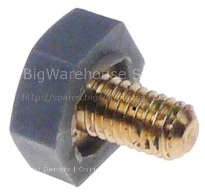 Screw for wash arm support thread M6