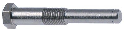 Hinge pin