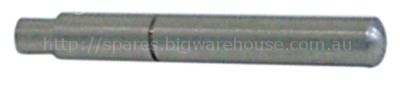 Door shaft