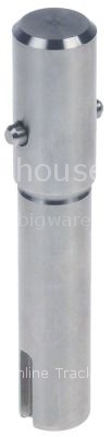 Spindle D1 ø 19mm D2 ø 17mm for vegetable slicer total length 10