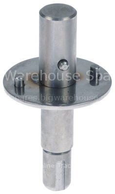 Spindle L1 103mm D1 ø 19mm D2 ø 17mm for vegetable slicer