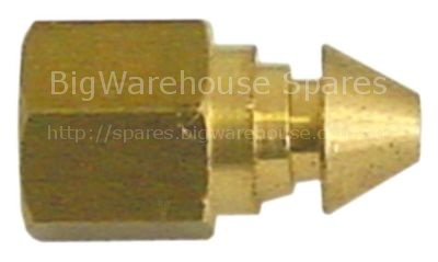 Pilot burner nozzle bore ø 0,2mm