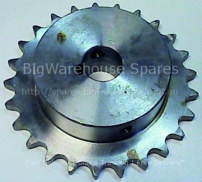 Pinion