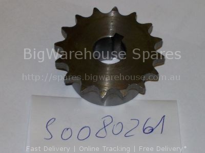 Pinion