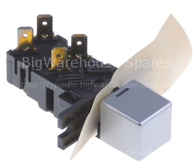 Push switch square silver single