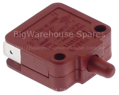 Microswitch with plunger 250V 16A 1NO/1NC connection male faston