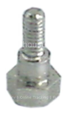 Thread bolt for dosing container