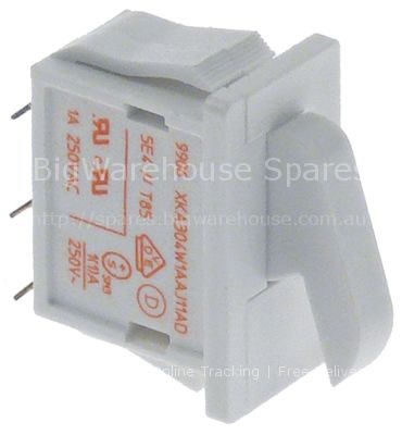 Microswitch with push button 250V 1A 1CO connection male faston