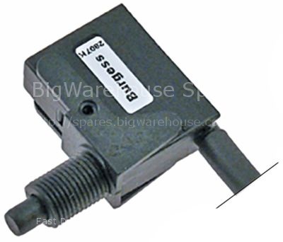 Microswitch with plunger thread M10x1 thread L 16mm 250V 10A 1NO