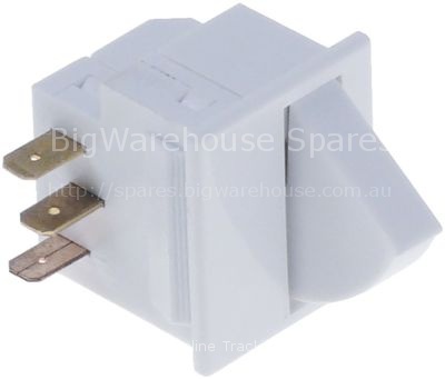 Microswitch with push button 250V 5A 1CO connection male faston