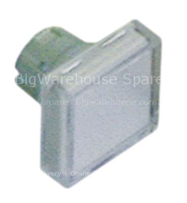 Push button square clear ø 16mm