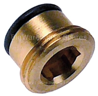 Plug thread 3/8" with O-ring L 12mm WS 8 brass suitable for MERT