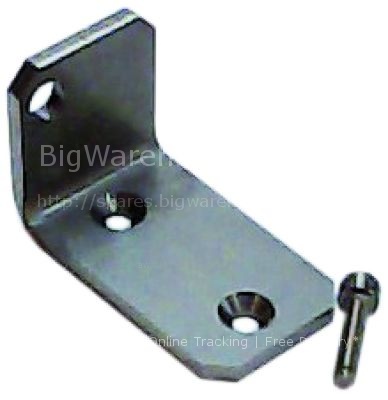 Hinge lower