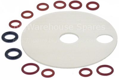 Gasket set suitable for LAINOX for cleaning system
