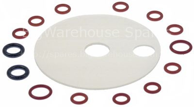 Service kit gasket for combi-steamer